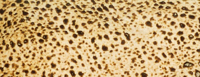 BREAD AND THEN MATZAH